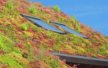 Knowefield living roof systems