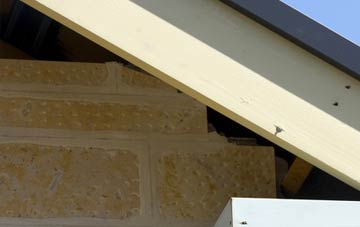 soffit repair Knowefield